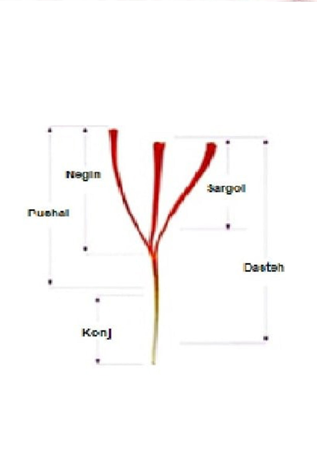 Bahraman Safran – Lezzetin ve Şifanın Altın Anahtarı 4 Gr