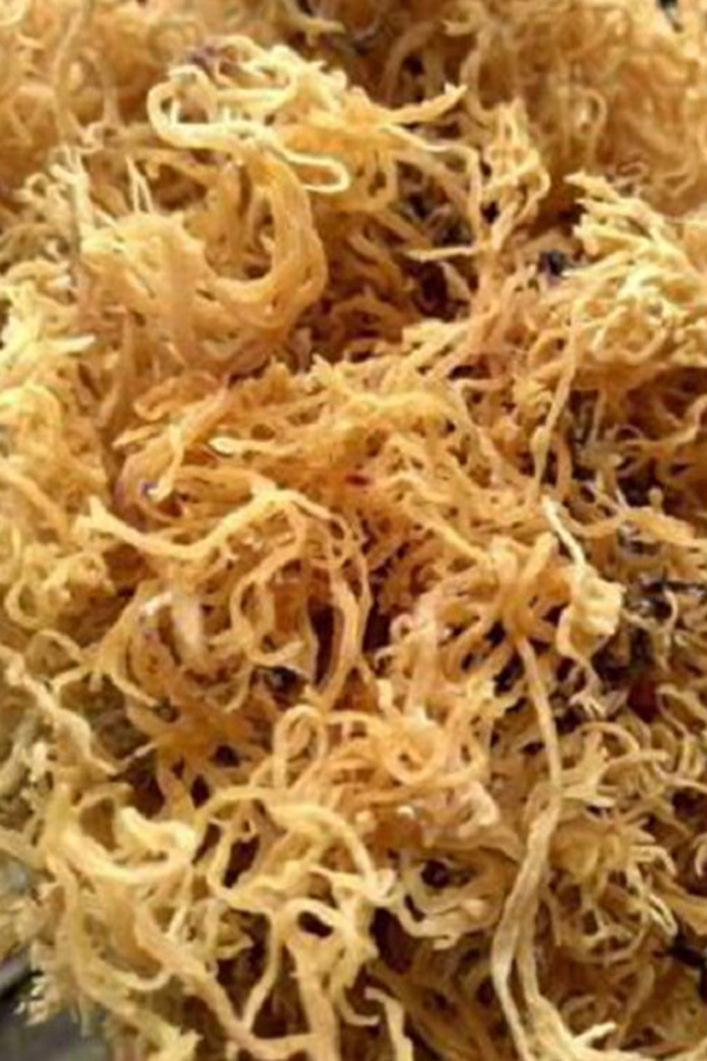 Deniz Kadayıfı  Orjinal 250 Gr