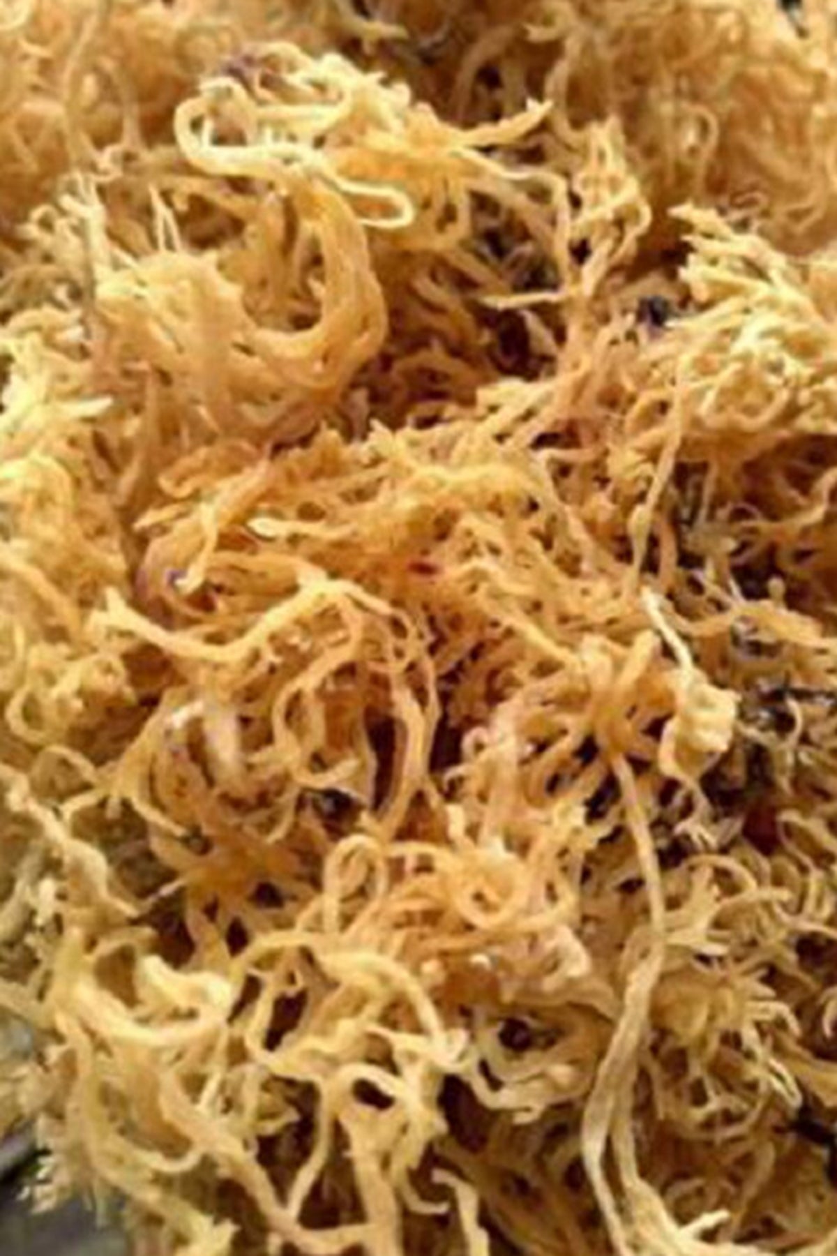 Deniz Kadayıfı  Orjinal 250 Gr