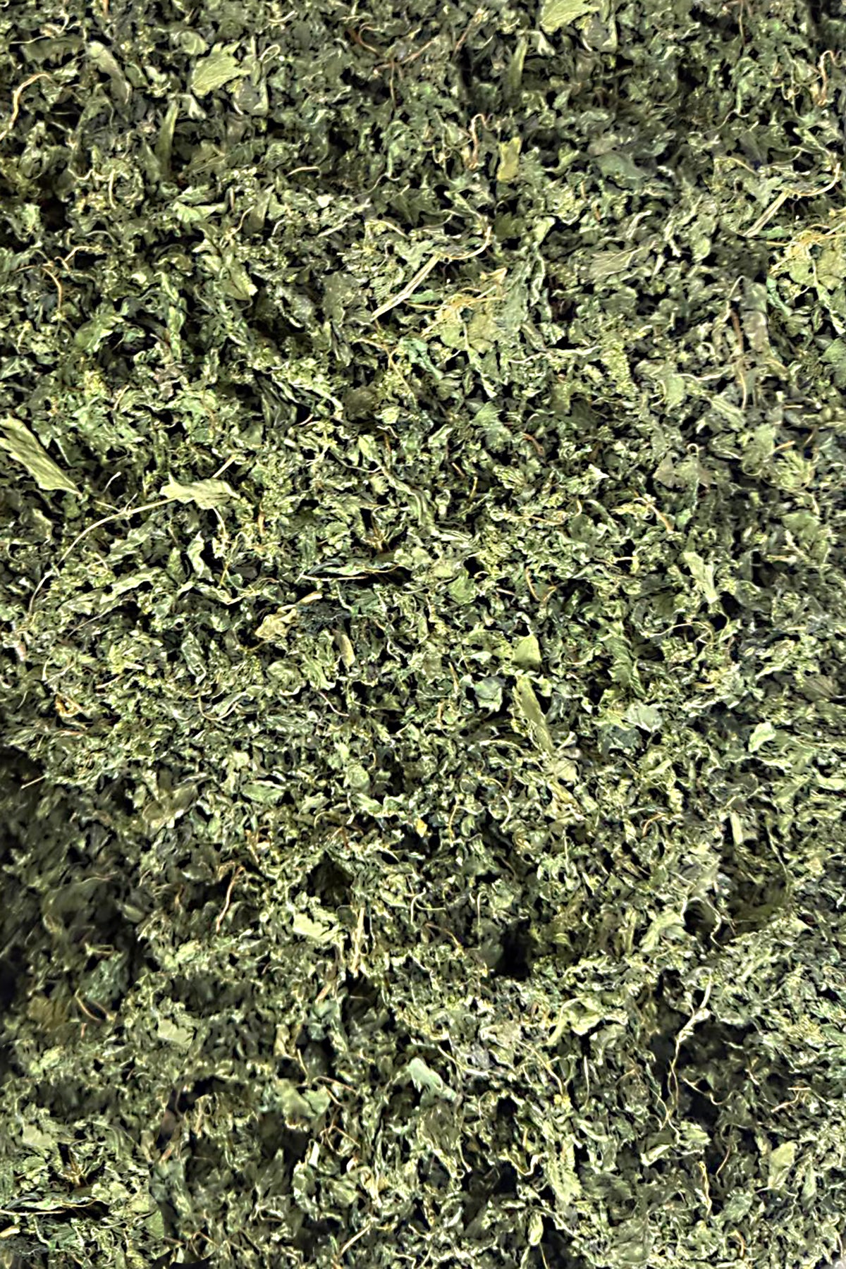 Isırgan Otu Çayı – Doğanın Şifalı Demlemesi 250 gr