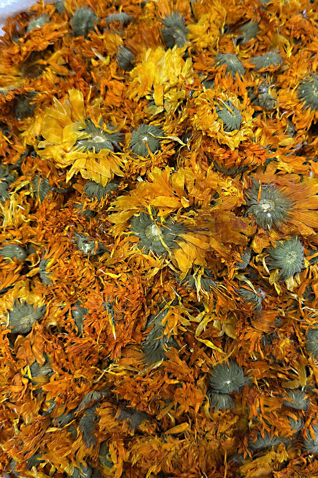 Sefa Çiçeği Güzelliğin ve Şifanın Adı  250 gr