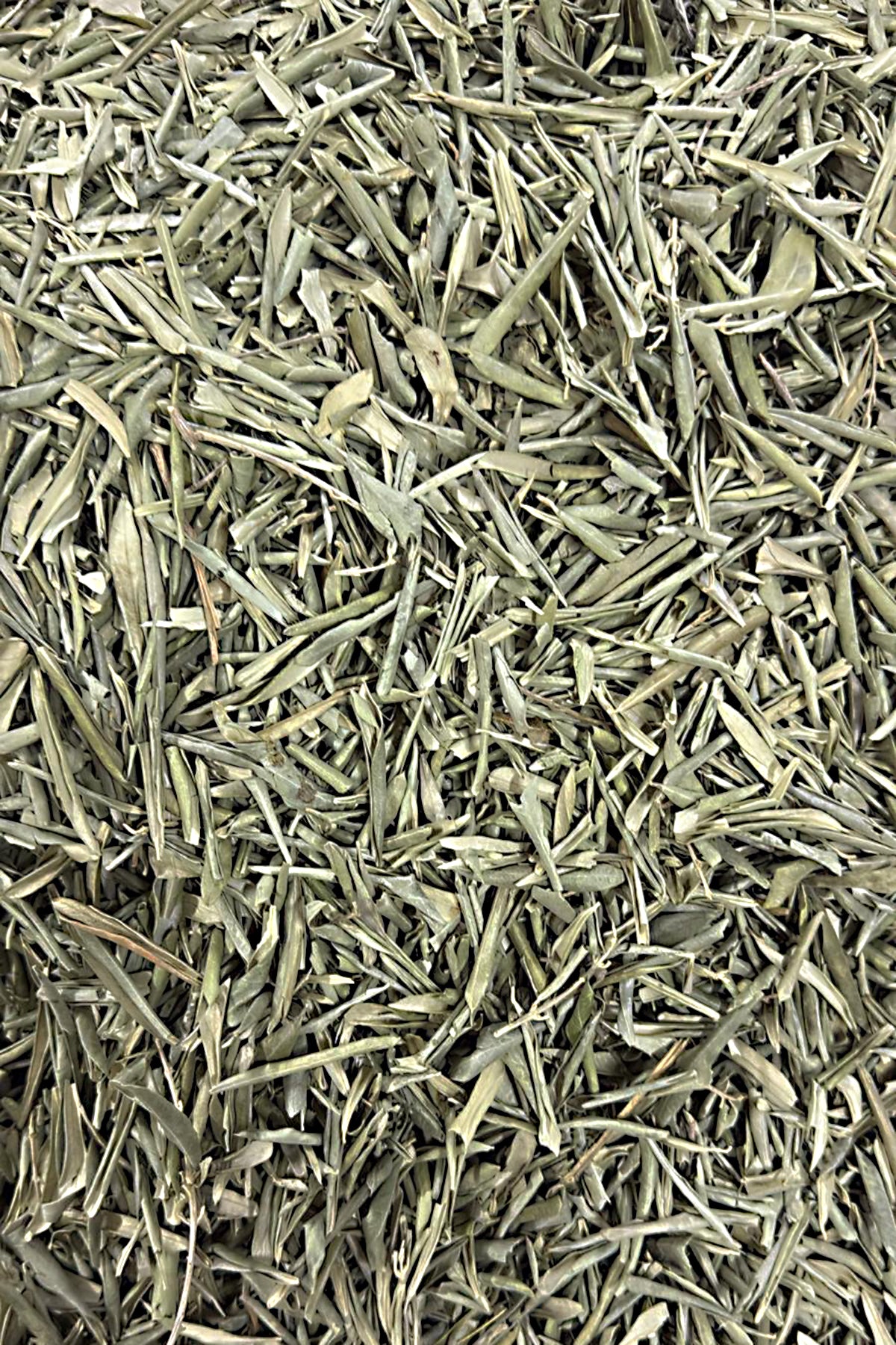 Zeytin Yaprağı Doğanın Şifalı Hediyesi  250 gr