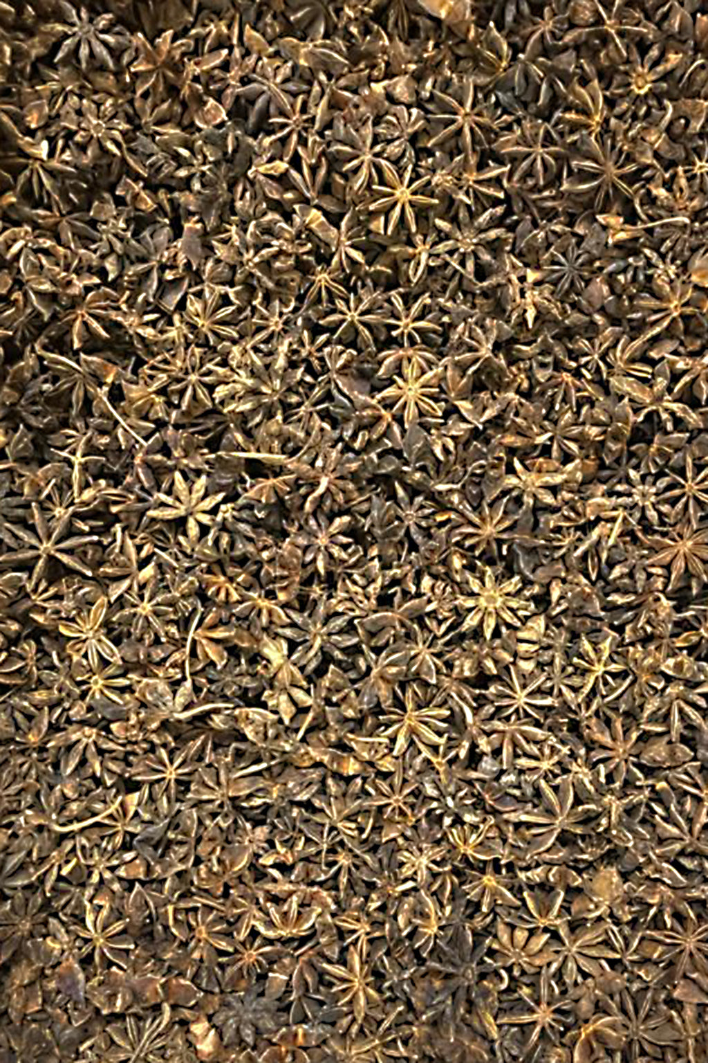 Yıldız Anason Çayı – Doğanın Sıcak Kucaklaması! 250