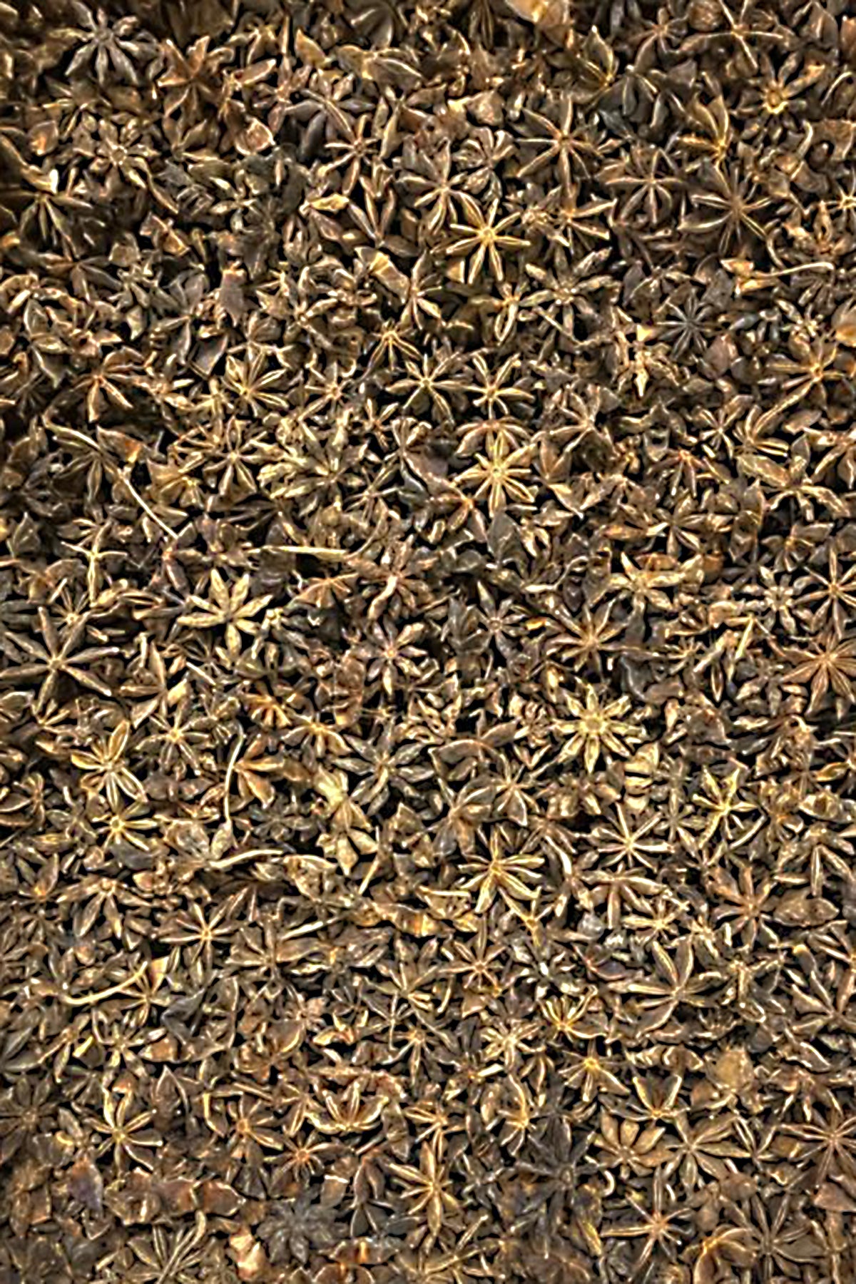 Yıldız Anason Çayı – Doğanın Sıcak Kucaklaması! 250