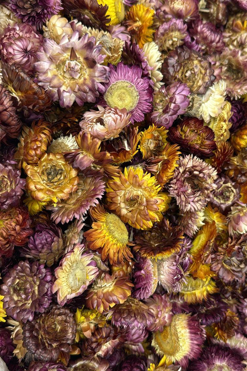 Kası Patı Doğanın Şifalı Gücü 250 gr