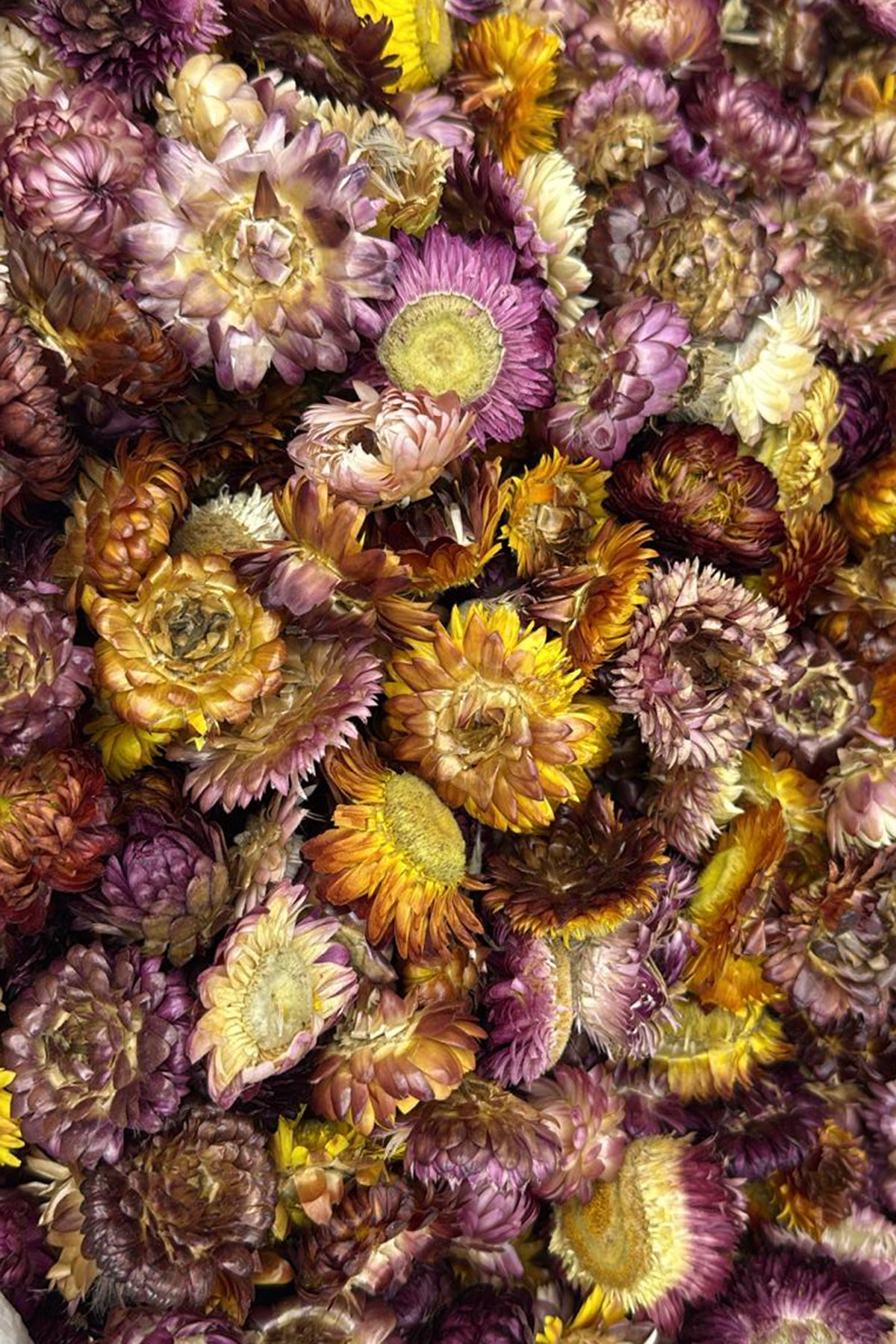 Kası Patı Doğanın Şifalı Gücü 250 gr