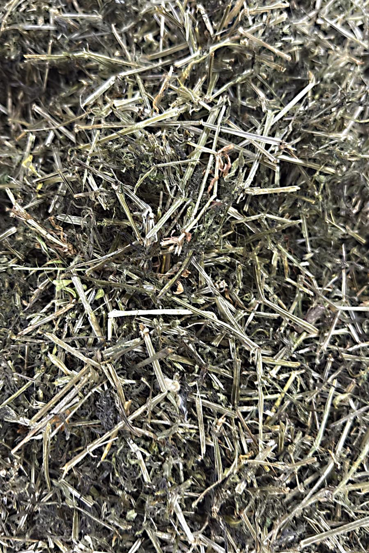 Yapışkan Otu Çayı – Doğadan Gelen Şifa 250 gr